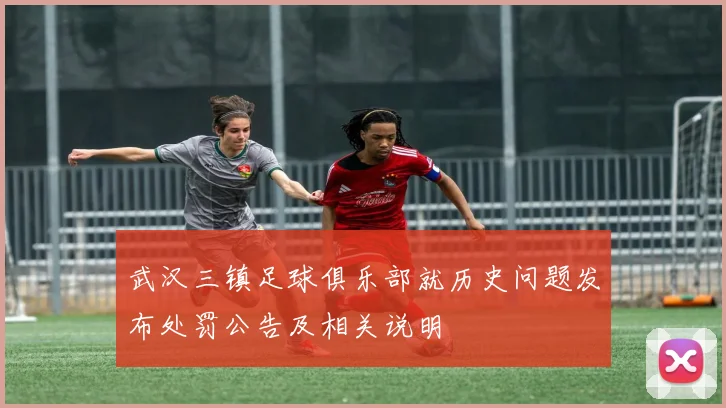 武汉三镇足球俱乐部就历史问题发布处罚公告及相关说明