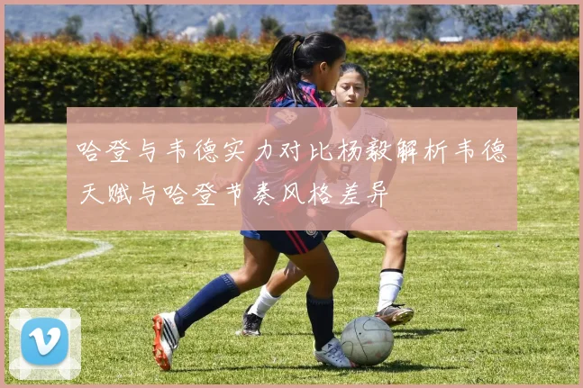 哈登与韦德实力对比杨毅解析韦德天赋与哈登节奏风格差异